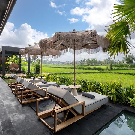 Villa Black Pearl By Balisuperhost Ubud Eksteriør billede