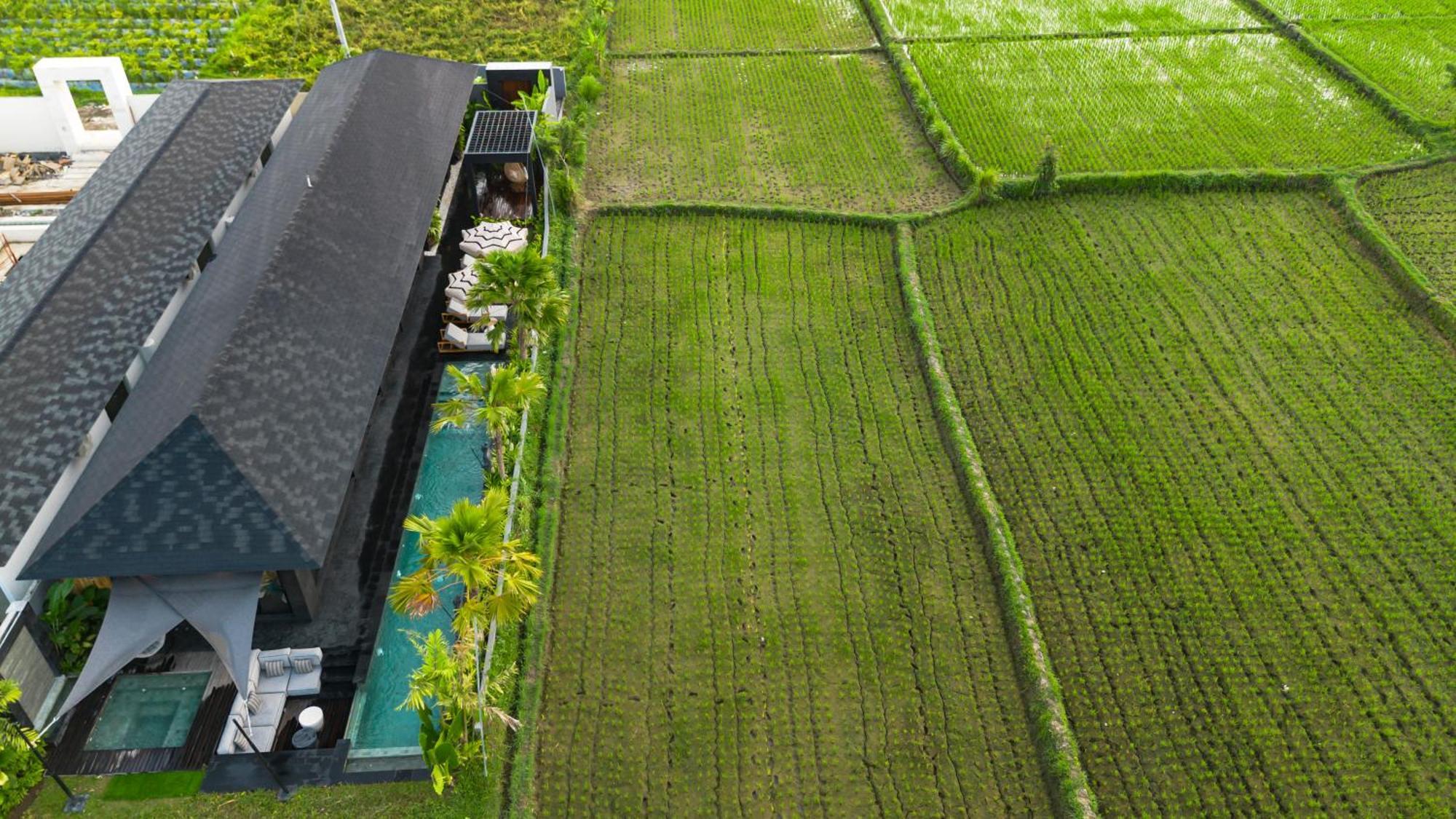 Villa Black Pearl By Balisuperhost Ubud Eksteriør billede